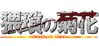 猥瑣の菊花 (attack on titan)