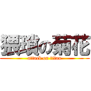 猥瑣の菊花 (attack on titan)