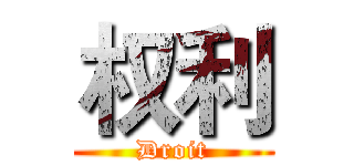 权利 (Droit)