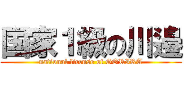 国家１級の川邉 (national license of GORIRA)