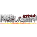 降臨した猫神 (cat of the World)