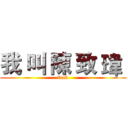 我 叫 陳 致 瑋  (fuck)