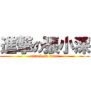 進撃の張小深 (attack on titan)