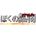 ぼくの鉱物 (DICK)