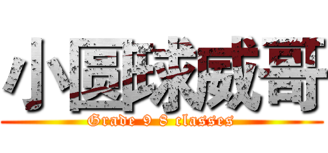 小圆球威哥 (Grade 9 8 classes)