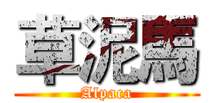 草泥馬 (Alpaca)