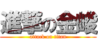 進撃の金峻 (attack on titan)