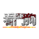 看門狗 (Watch Dogs)