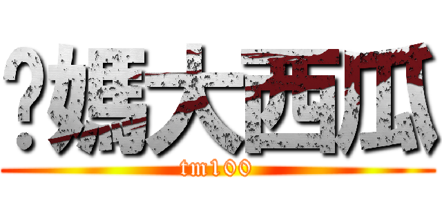 你媽大西瓜 (tm100)