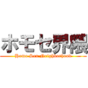 ホモセ界隈 (Homo Sex Neighborhood)