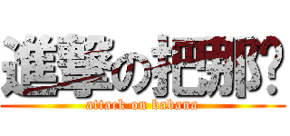 進撃の把那哪 (attack on babana)