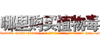 哪里购买植物毒 (哪里购买植物毒【电-186x2687x6963-Q278180069元-吉-药-业】我们做的是长期生意,靠的是老客户长期支持 http://sngk.net/x2hmZk
)