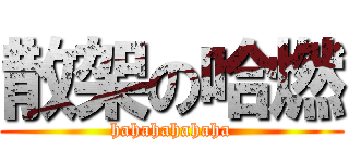 散架の哈燃 (hahahahahaha)