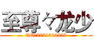 至尊々龙少 (QQ：2731562858)