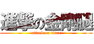 進撃の金剛腿 (attack on titan)