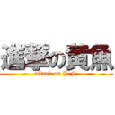 進撃の黄魚 (attack on Y.F )