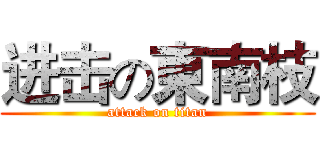 进击の東南枝 (attack on titan)