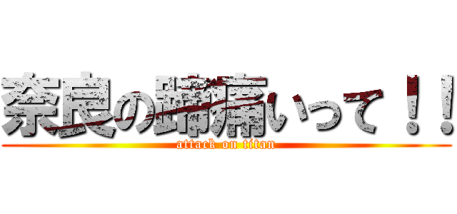 奈良の蹄痛いって！！ (attack on titan)
