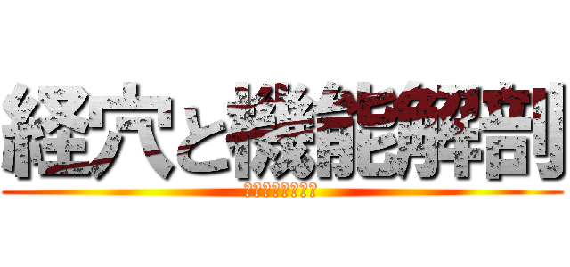 経穴と機能解剖 (筋と血管と神経と)