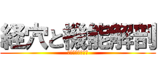 経穴と機能解剖 (筋と血管と神経と)