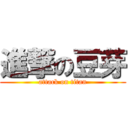 進撃の豆芽 (attack on titan)