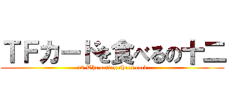 ＴＦカードを食べるの十二 (12 Who eating the tf card)