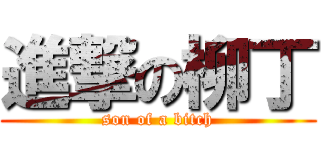 進撃の柳丁 (son of a bitch)