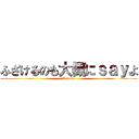 ふざけるのも大概にｓａｙよ (Bodoka)