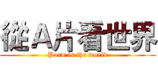 從Ａ片看世界 (Porn is the world)