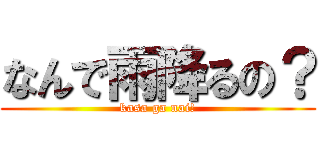 なんで雨降るの？ (kasa ga nai!)