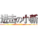 进击の小新 (Aom丶小新)
