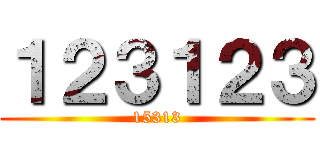 １２３１２３ (15313)