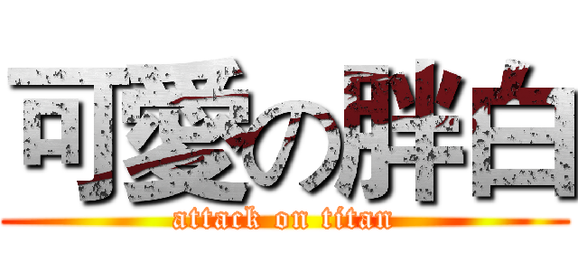 可愛の胖白 (attack on titan)