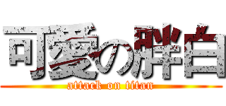 可愛の胖白 (attack on titan)