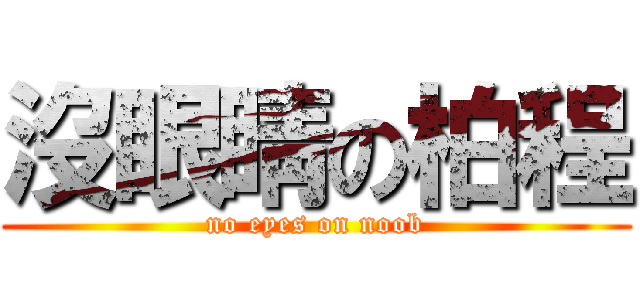 沒眼睛の柏程 (no eyes on noob)