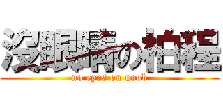 沒眼睛の柏程 (no eyes on noob)