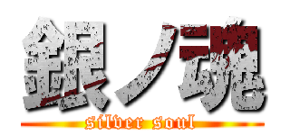銀ノ魂 (silver soul)