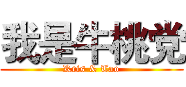 我是牛桃党 (Kris & Tao)