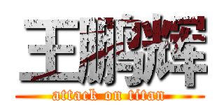 王鹏辉 (attack on titan)