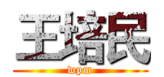 王培民 (wpm)