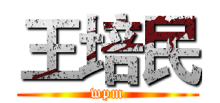 王培民 (wpm)