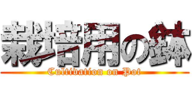 栽培用の鉢 (Cultivation on Pot)