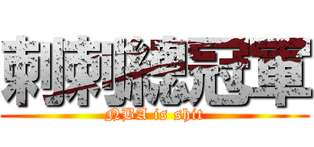 刺刺總冠軍 (NBA is shit)