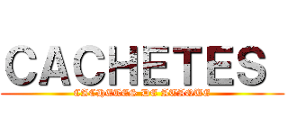 ＣＡＣＨＥＴＥＳ  (CACHETES DE ATAQUE)