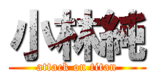 小林純 (attack on titan)