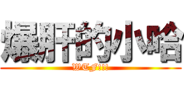 爆肝的小哈 (WTF!!!)