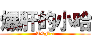 爆肝的小哈 (WTF!!!)