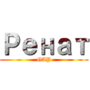 Ренат (GAY)