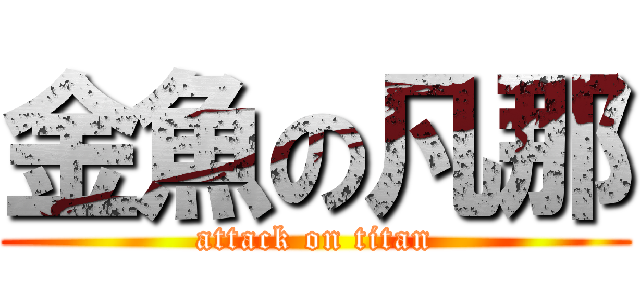 金魚の凡那 (attack on titan)