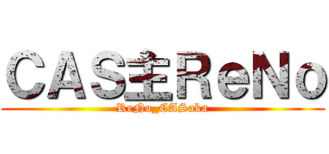ＣＡＳ主ＲｅＮｏ (ReNo_CASaka)